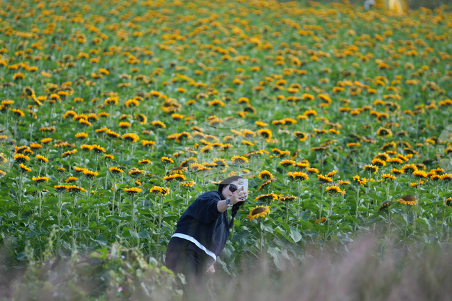 South Korea Daily Life