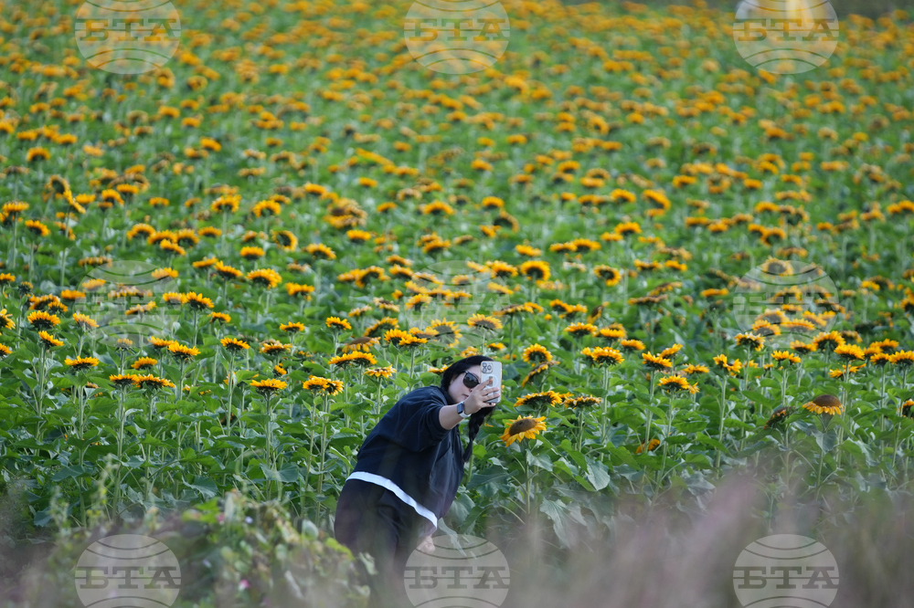 South Korea Daily Life