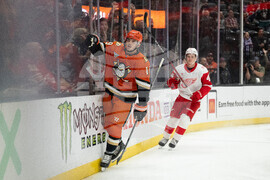 Red Wings Ducks Hockey
