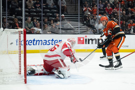 Red Wings Ducks Hockey
