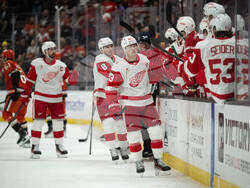 Red Wings Ducks Hockey