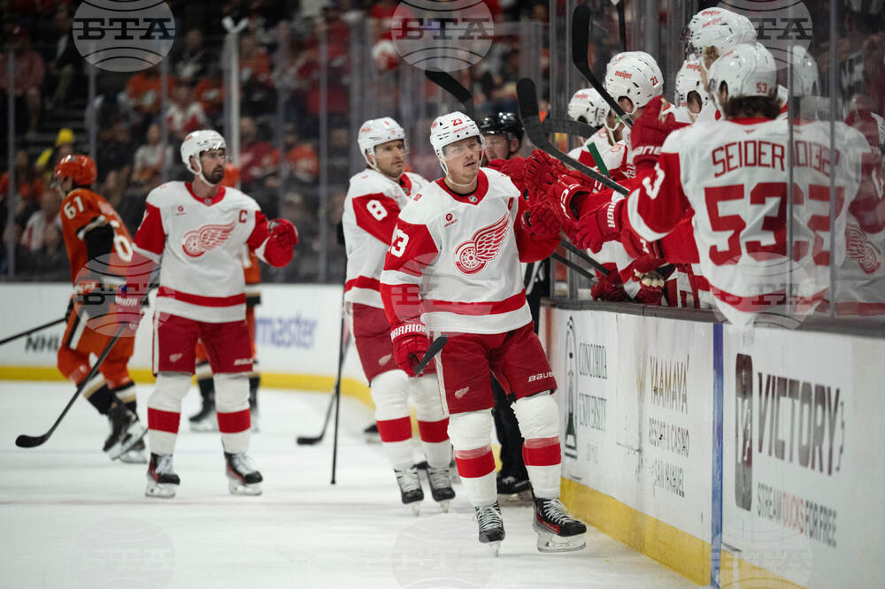 Red Wings Ducks Hockey