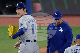 World Series Dodgers Blue Jays Baseball