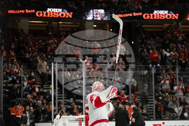 Red Wings Ducks Hockey