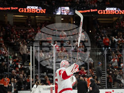 Red Wings Ducks Hockey