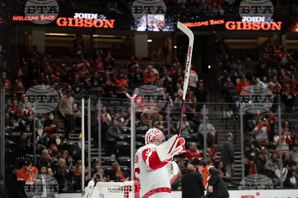 Red Wings Ducks Hockey