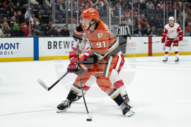 Red Wings Ducks Hockey