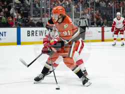 Red Wings Ducks Hockey