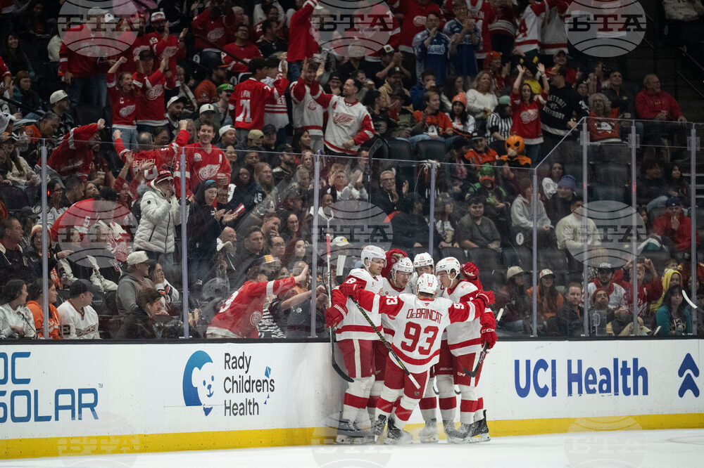 Red Wings Ducks Hockey