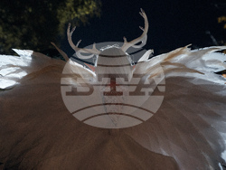 NYC Halloween Parade