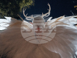 NYC Halloween Parade