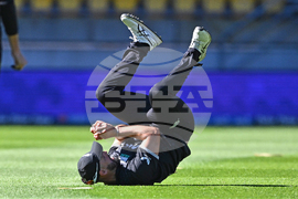 New Zealand England Cricket