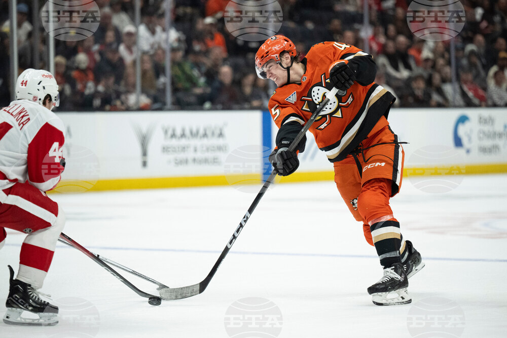 Red Wings Ducks Hockey