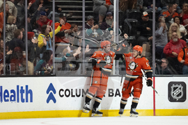 Red Wings Ducks Hockey