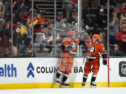 Red Wings Ducks Hockey