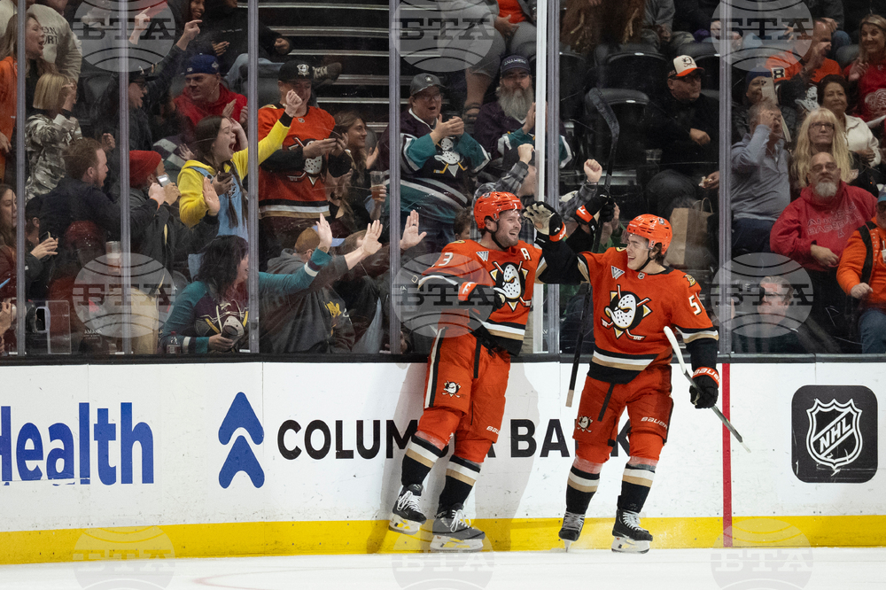 Red Wings Ducks Hockey