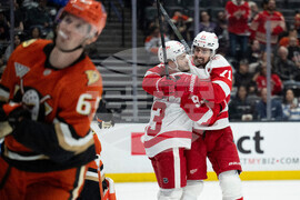 Red Wings Ducks Hockey