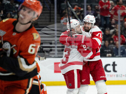 Red Wings Ducks Hockey