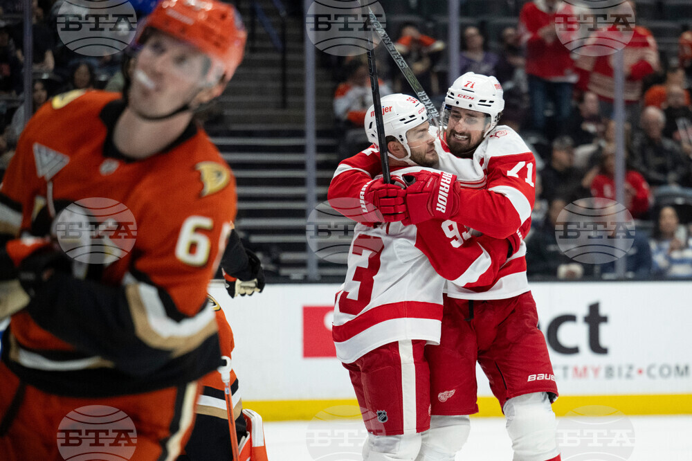 Red Wings Ducks Hockey