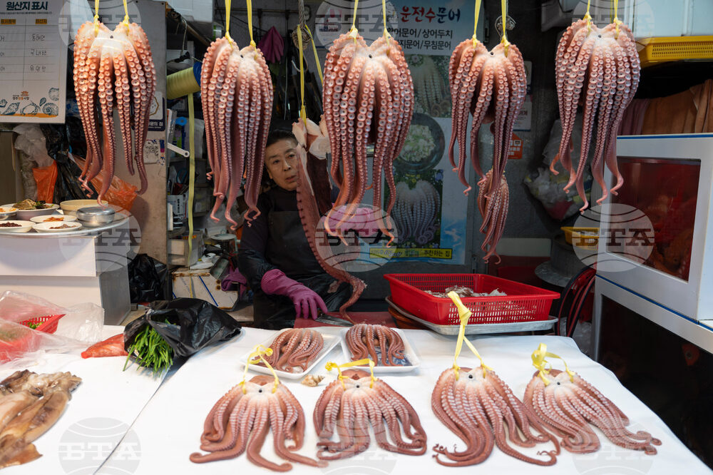 South Korea Daily Life