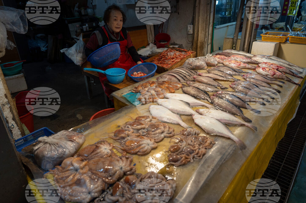 South Korea Daily Life