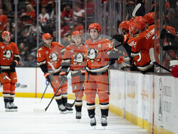 Red Wings Ducks Hockey