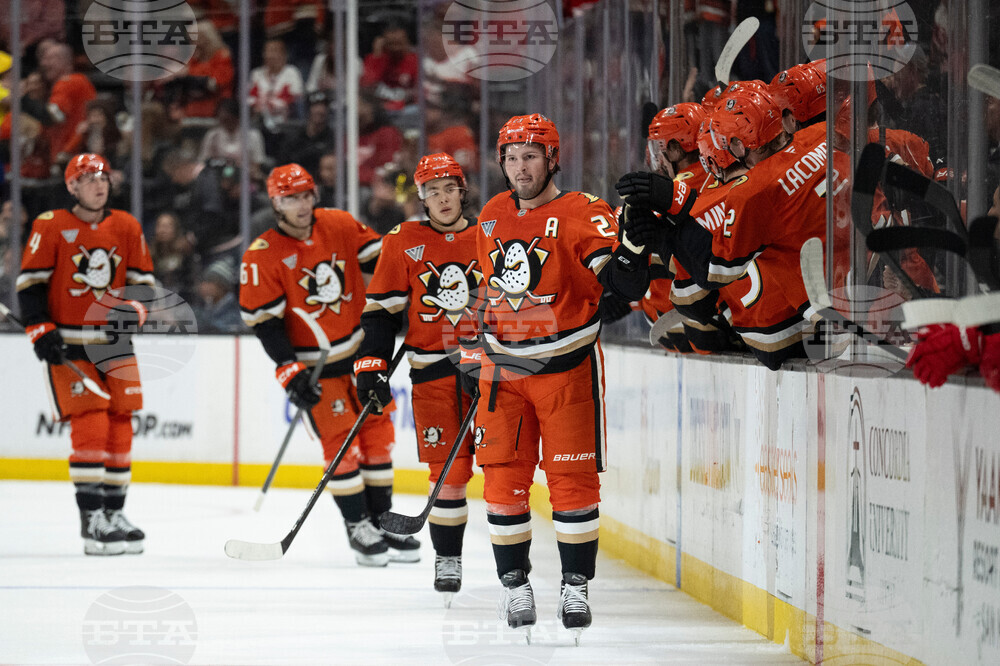 Red Wings Ducks Hockey