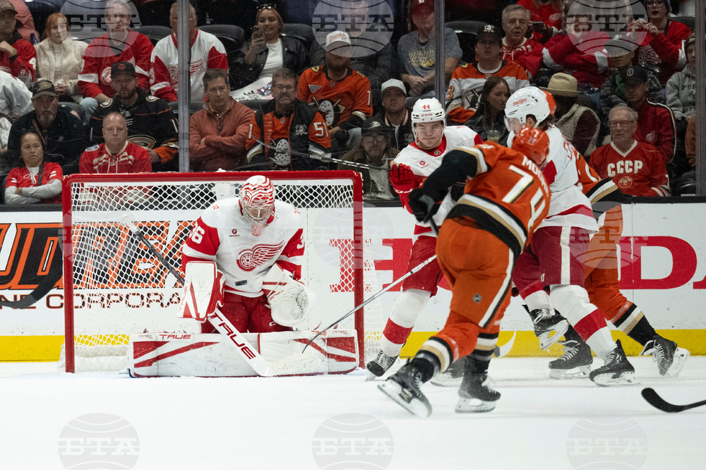 Red Wings Ducks Hockey
