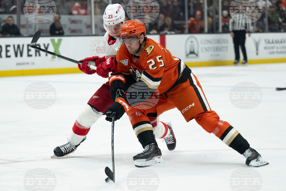 Red Wings Ducks Hockey