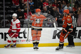 Red Wings Ducks Hockey