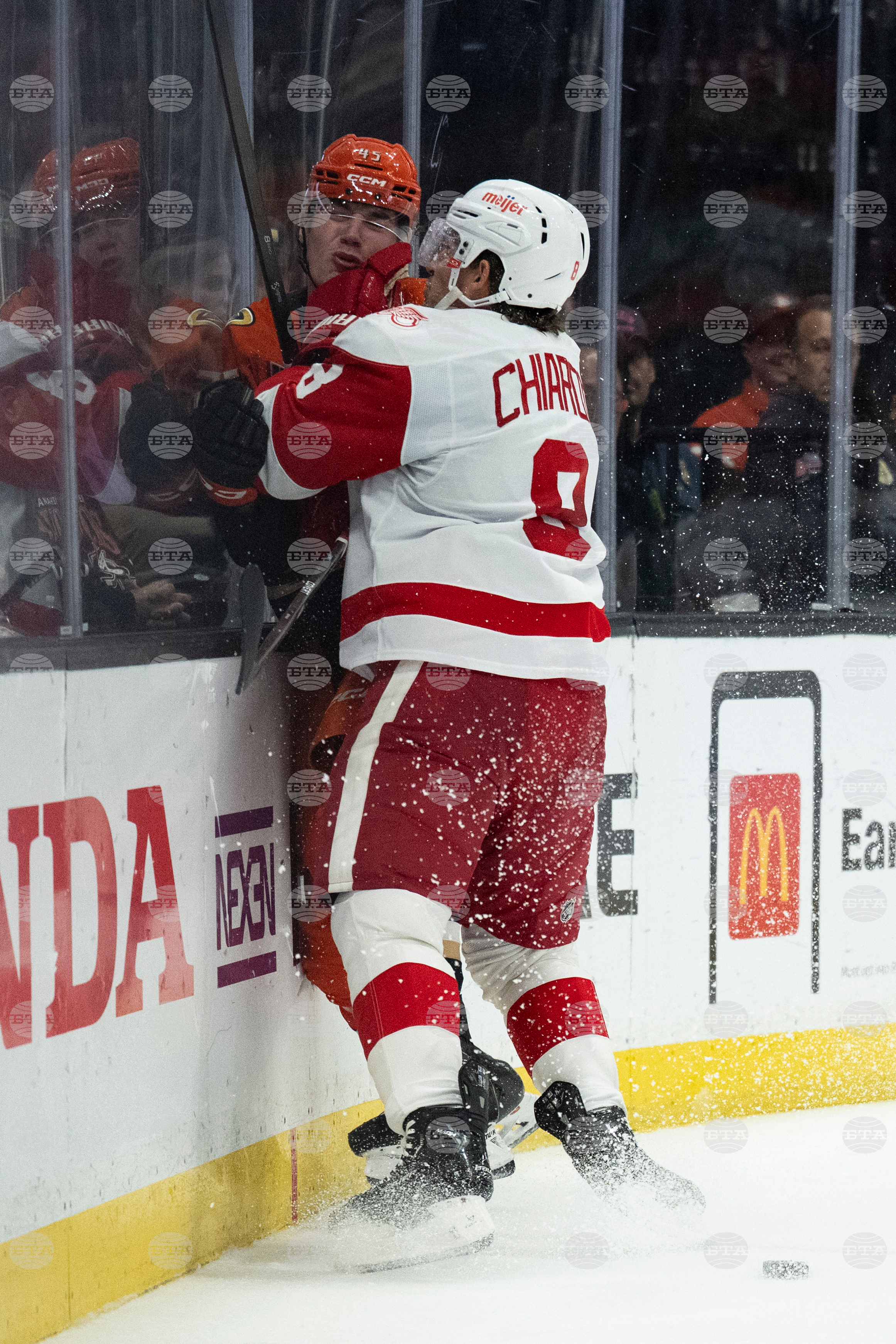 Red Wings Ducks Hockey