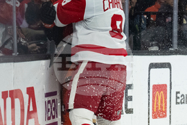 Red Wings Ducks Hockey