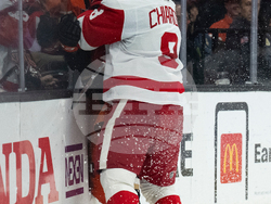 Red Wings Ducks Hockey