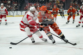 Red Wings Ducks Hockey