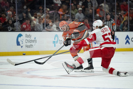 Red Wings Ducks Hockey