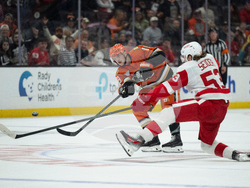 Red Wings Ducks Hockey