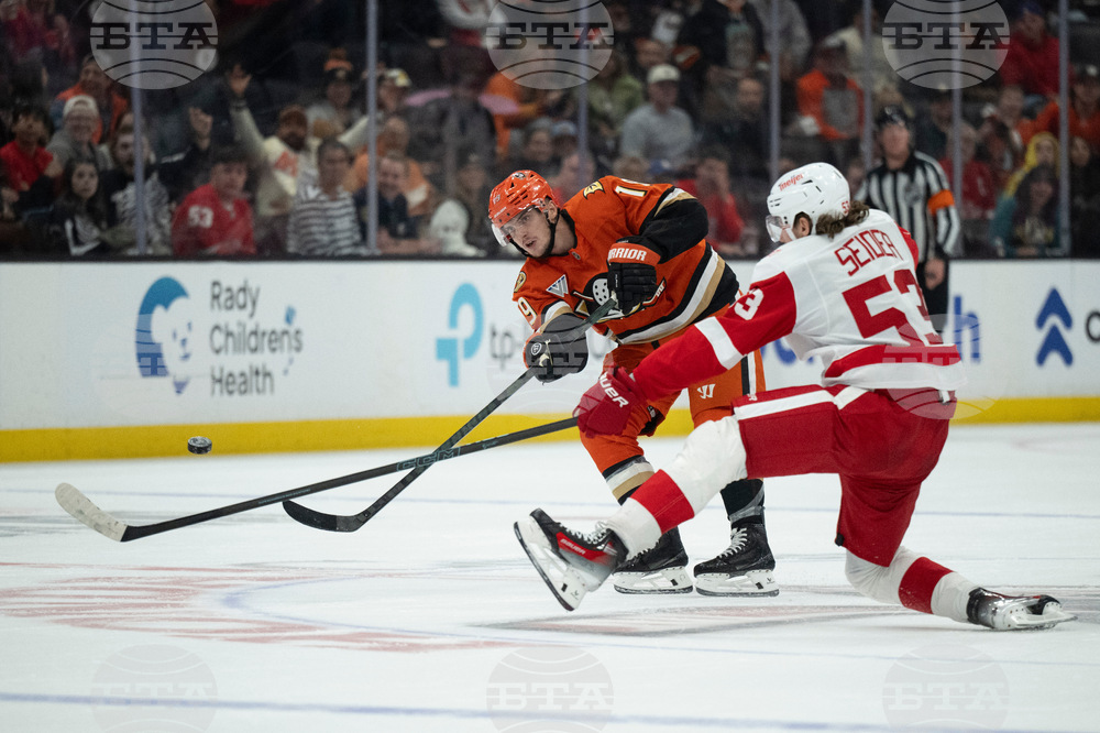 Red Wings Ducks Hockey