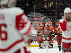Red Wings Ducks Hockey