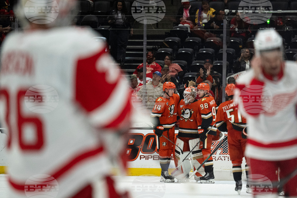 Red Wings Ducks Hockey