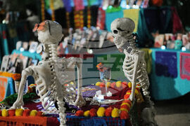 Dia De Los Muertos-Ofrendas