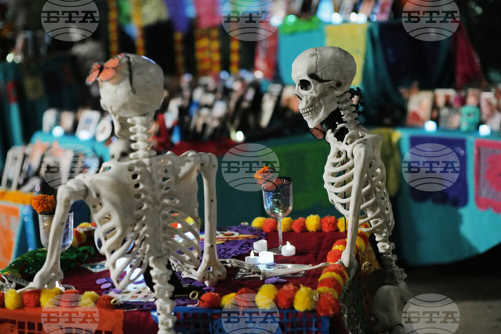 Dia De Los Muertos-Ofrendas