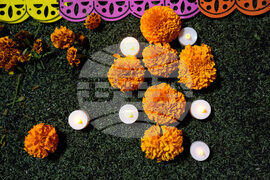 Dia De Los Muertos Ofrendas