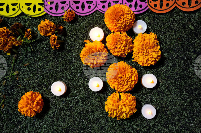 Dia De Los Muertos Ofrendas