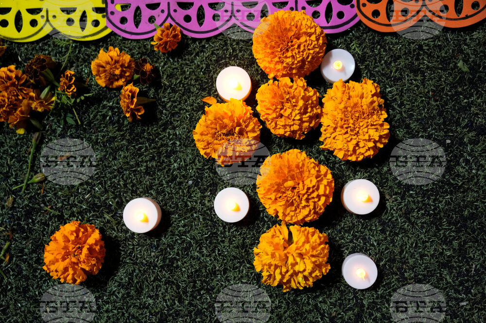 Dia De Los Muertos Ofrendas