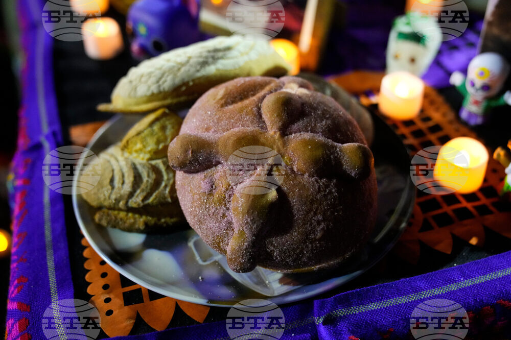 Dia De Los Muertos Ofrendas