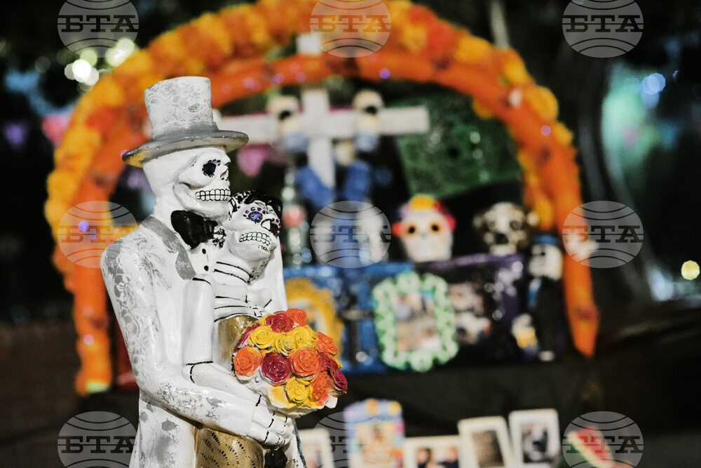 Dia De Los Muertos-Ofrendas