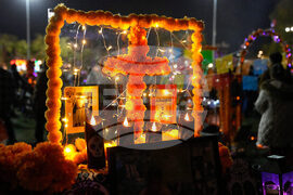 Dia De Los Muertos Ofrendas