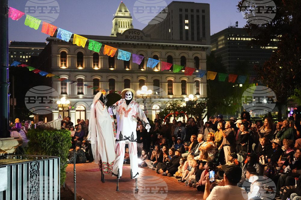 Dia De Los Muertos-Ofrendas