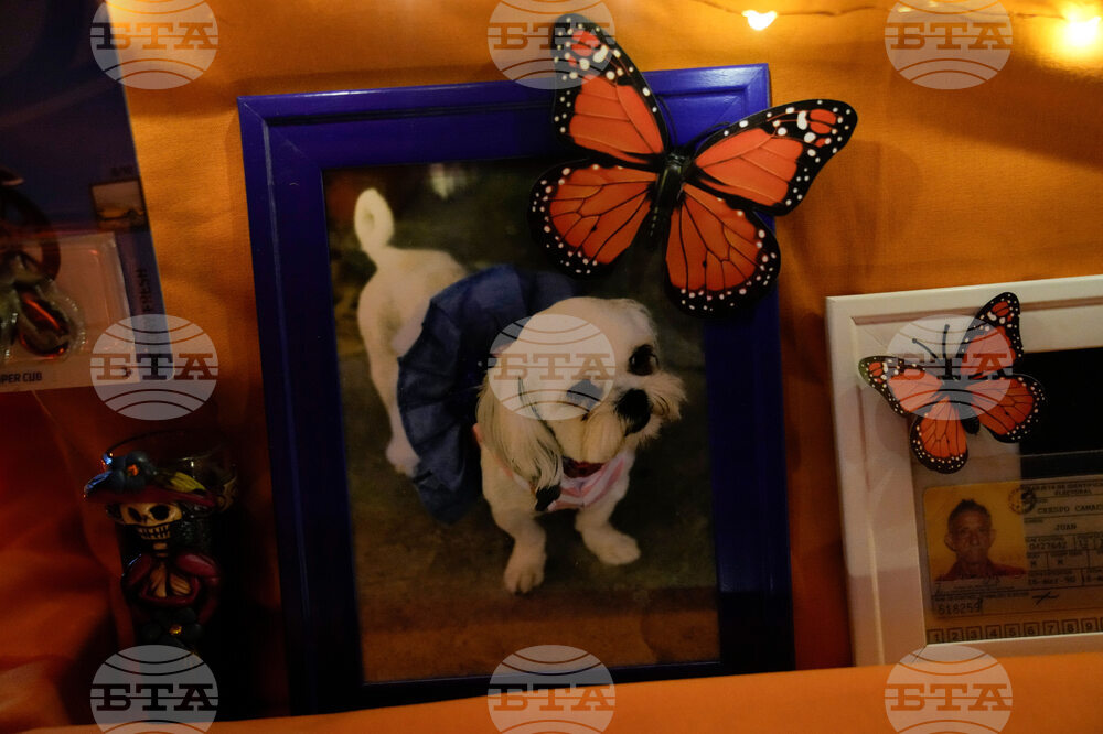 Dia De Los Muertos Ofrendas