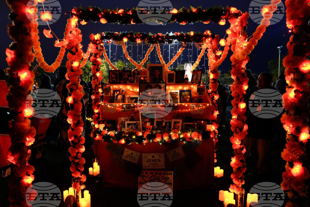 Dia De Los Muertos Ofrendas